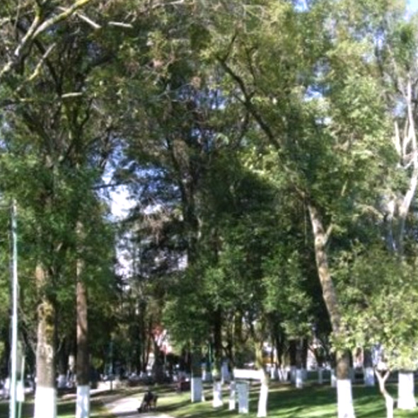 Parque de los Matlazincas 